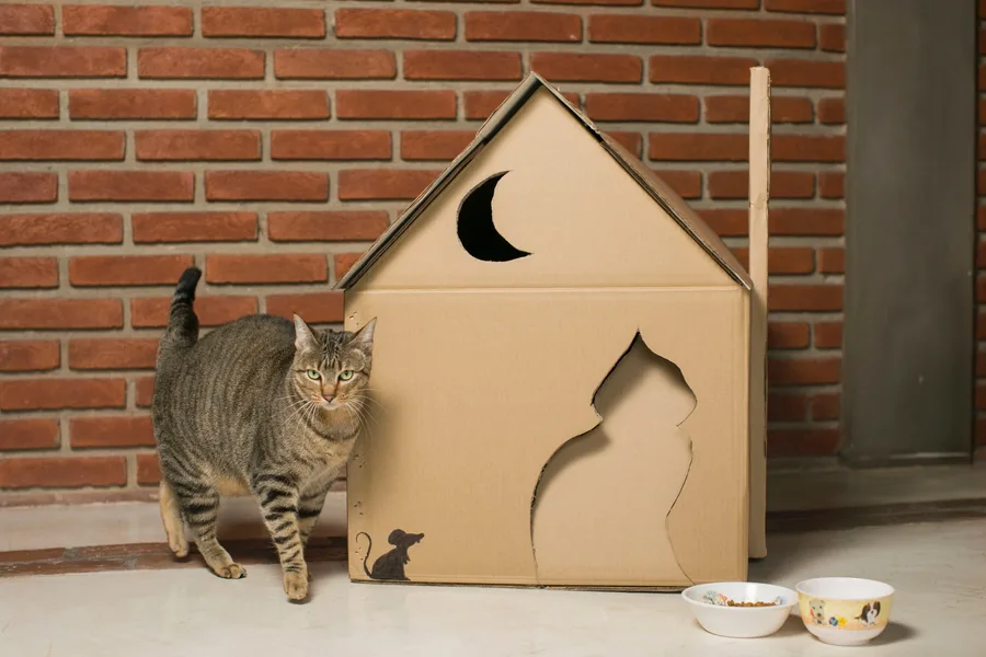 CASA PAPELAO PARA GATOS - DV06