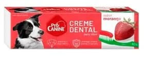 GEL DENTAL PROCANINE MORANGO 60G