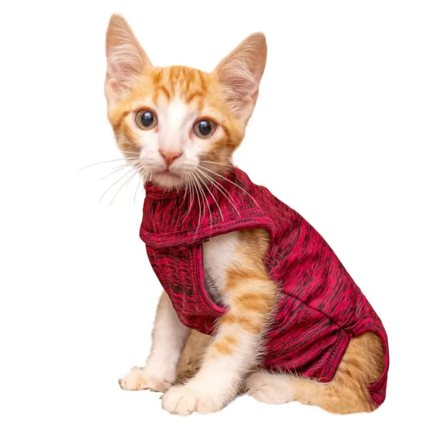 ROUPA POS-CIRUR. - N 0 GATOS