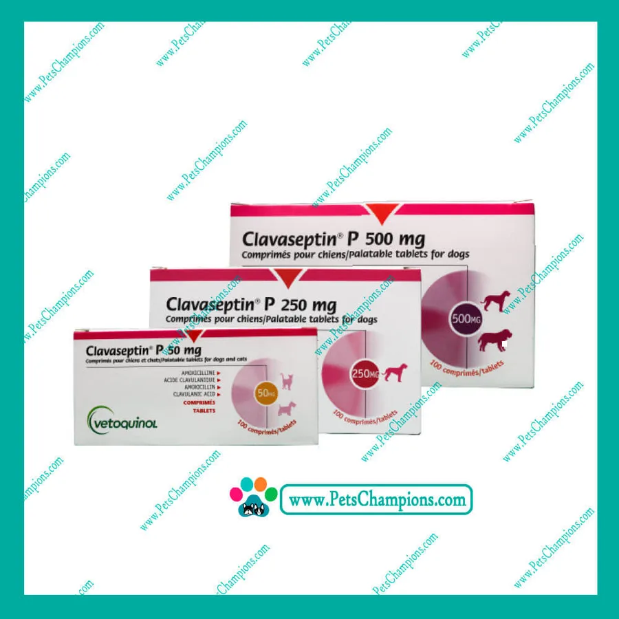 CLAVASEPTIN P 250MG 10 CP - VETOQUINOL