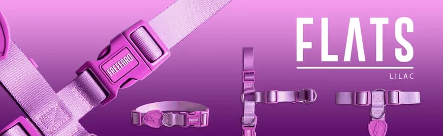 COLEIRA LILAC - LILAC - M
