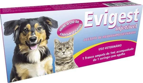 EVIGEST INJETAVEL