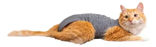 ROUPA PET CIRURGICA GATO TAM GG SORTIDO