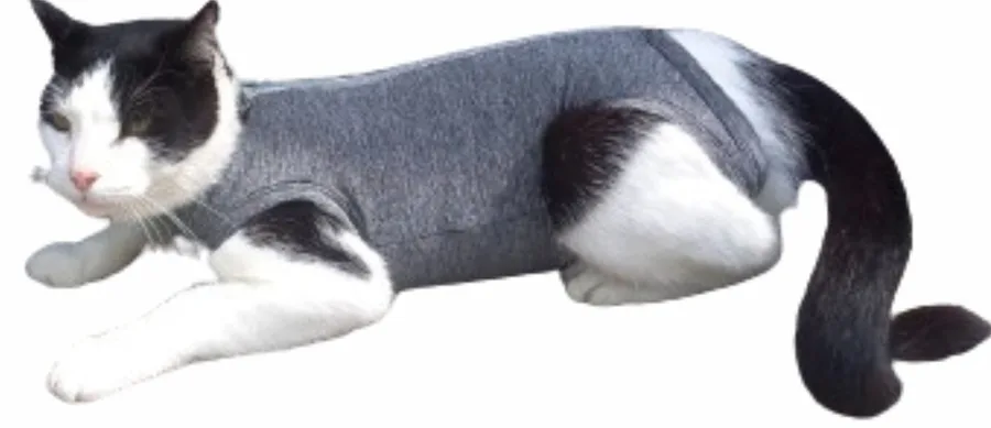 ROUPA POS-CIRUR. - N 1 GATOS
