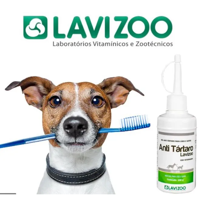 ANTI TARTARO 100GR LAVIZOO